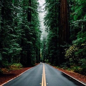 Meet your Posher, Natasha